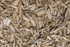 biomass boilers Appledore