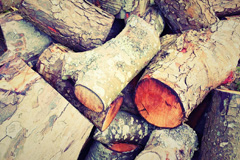 Appledore wood burning boiler costs